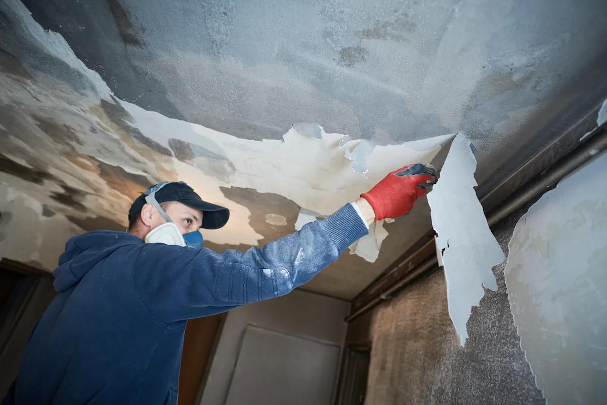 Fire Remediation in Brooklyn: Professional Remediation vs DIY Cleanup